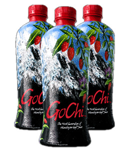 Go-Chi